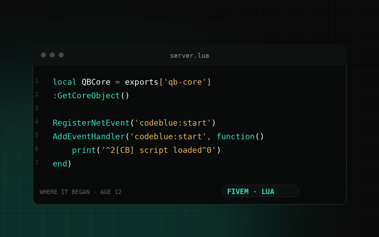 FiveM Lua scripting — where Aiden started coding